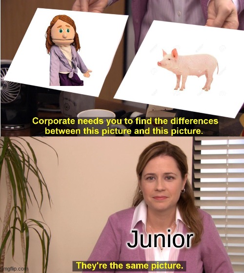 they're the same picture sml | Junior | image tagged in memes,they're the same picture,fun | made w/ Imgflip meme maker