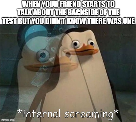 hate it | WHEN YOUR FRIEND STARTS TO TALK ABOUT THE BACKSIDE OF THE TEST BUT YOU DIDN'T KNOW THERE WAS ONE | image tagged in private internal screaming | made w/ Imgflip meme maker
