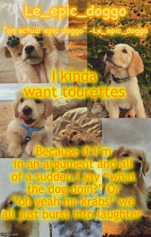 Doggo temp by doggo. Wait what that’s confusing | I kinda want tourettes; Because if I’m in an argument and all of a sudden I say “what the dog doin?” Or “oh yeah mr krabs” we all just burst into laughter | image tagged in doggo temp by doggo wait what that s confusing | made w/ Imgflip meme maker