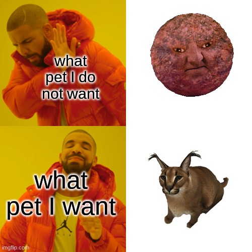 which do you love more | what pet I do not want; what pet I want | image tagged in memes,drake hotline bling | made w/ Imgflip meme maker