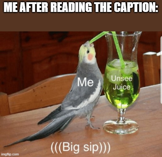 Unsee juice | ME AFTER READING THE CAPTION: | image tagged in unsee juice | made w/ Imgflip meme maker