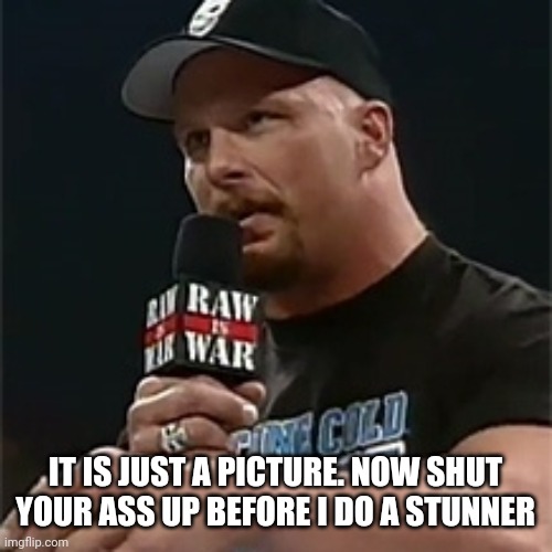Stone cold  | IT IS JUST A PICTURE. NOW SHUT YOUR ASS UP BEFORE I DO A STUNNER | image tagged in stone cold | made w/ Imgflip meme maker
