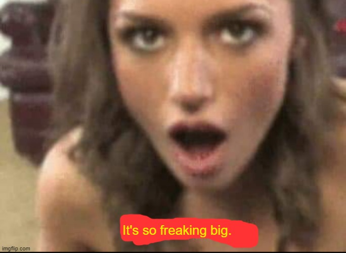 It's so freaking big. | image tagged in it's so big | made w/ Imgflip meme maker