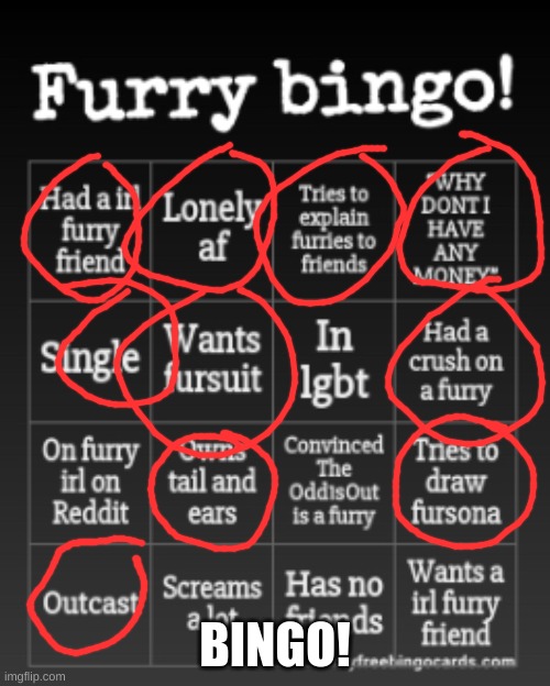 Furry bingo | BINGO! | image tagged in furry bingo | made w/ Imgflip meme maker