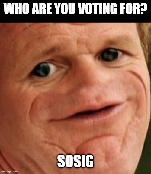 Australians during an election |  WHO ARE YOU VOTING FOR? SOSIG | image tagged in sosig,politics,australia,australians,meanwhile in australia | made w/ Imgflip meme maker
