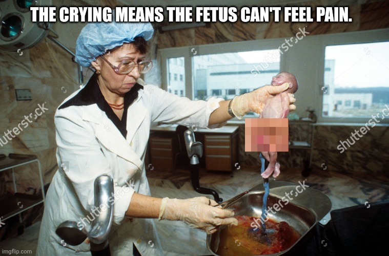 THE CRYING MEANS THE FETUS CAN'T FEEL PAIN. | made w/ Imgflip meme maker