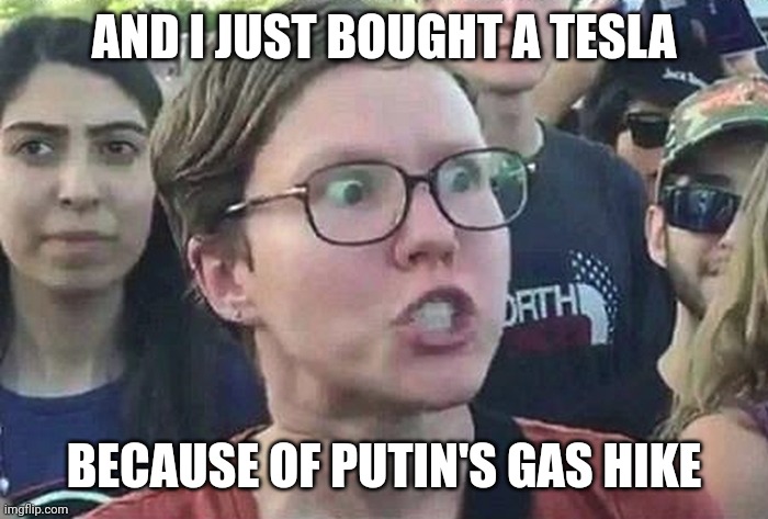 Triggered Liberal | AND I JUST BOUGHT A TESLA BECAUSE OF PUTIN'S GAS HIKE | image tagged in triggered liberal | made w/ Imgflip meme maker