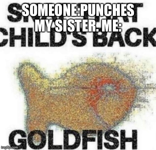snap that child's back | SOMEONE:PUNCHES MY SISTER. ME: | image tagged in snap that child's back | made w/ Imgflip meme maker