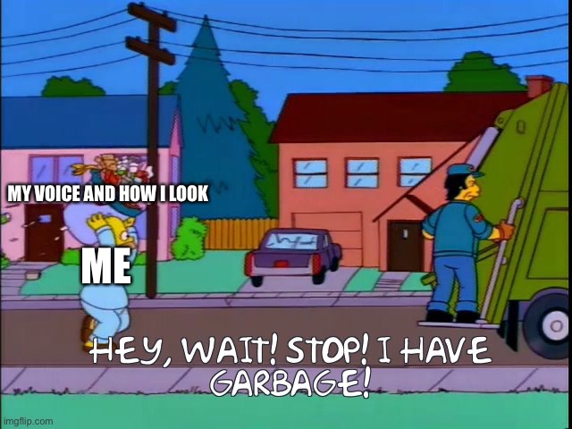 Hey wait stop i have garbage | MY VOICE AND HOW I LOOK; ME | image tagged in hey wait stop i have garbage | made w/ Imgflip meme maker