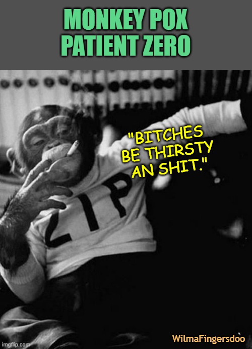 monkey smoke zip | MONKEY POX PATIENT ZERO; "BITCHES BE THIRSTY AN SHIT."; WilmaFingersdoo | image tagged in monkey smoke zip,monkey pox | made w/ Imgflip meme maker