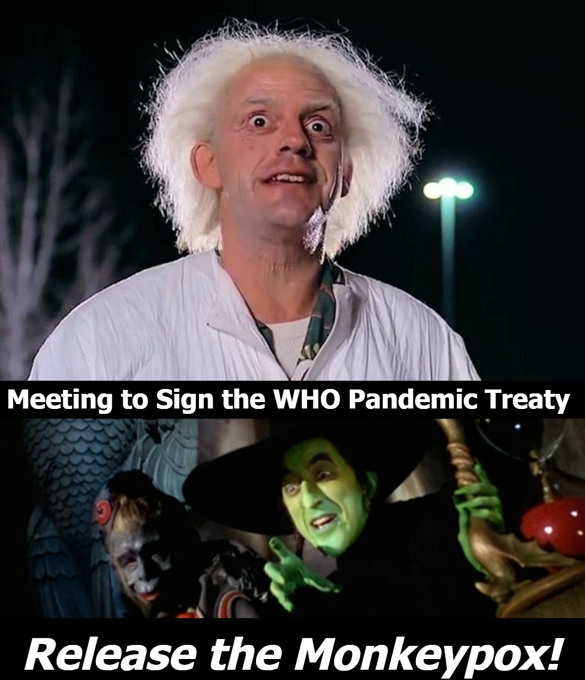 Release the Monkeypox! | image tagged in monkeypox,smallpox,who treaty,mad scientist,plandemic,just another plandemic | made w/ Imgflip meme maker