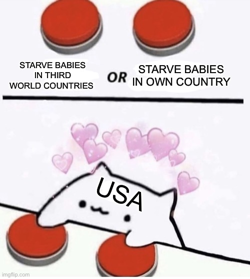 USA! USA! | STARVE BABIES IN OWN COUNTRY; STARVE BABIES IN THIRD WORLD COUNTRIES; USA | image tagged in cat pressing two buttons | made w/ Imgflip meme maker