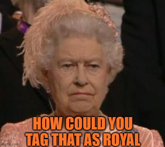 queen | HOW COULD YOU TAG THAT AS ROYAL | image tagged in queen | made w/ Imgflip meme maker