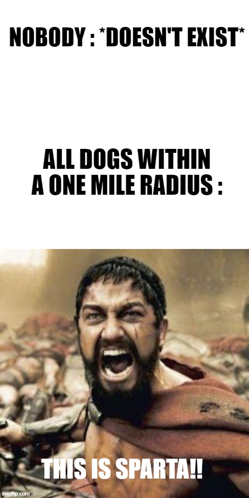 Dogs Be Like : |  NOBODY : *DOESN'T EXIST*; ALL DOGS WITHIN A ONE MILE RADIUS :; THIS IS SPARTA!! | image tagged in memes,blank transparent square,this is sparta,funny,dogs | made w/ Imgflip meme maker