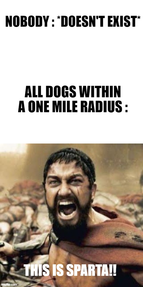 Dogs Be Like : | NOBODY : *DOESN'T EXIST*; ALL DOGS WITHIN A ONE MILE RADIUS :; THIS IS SPARTA!! | image tagged in memes,blank transparent square,this is sparta,funny,dogs | made w/ Imgflip meme maker