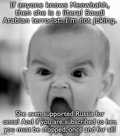 A message to all the Meowbahh supporters. |  If anyone knows Meowbahh, then she is a literal Saudi Arabian terrorist. I’m not joking. She even supported Russia for once! And if you are subscribed to her, you must be stopped, once and for all! | image tagged in memes,angry baby | made w/ Imgflip meme maker