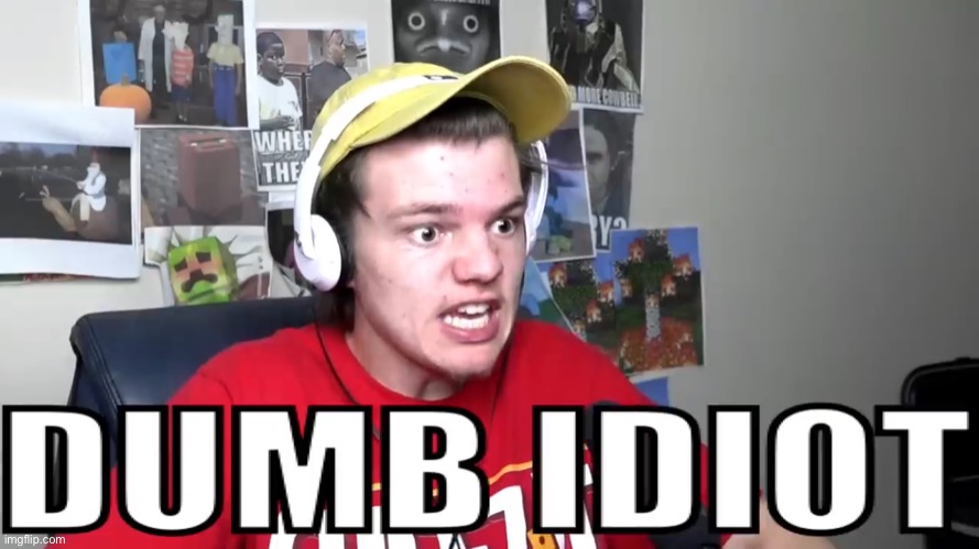 Me to myself when I start becoming an extremely dedicated fan of a YouTuber | image tagged in you dumb idiot | made w/ Imgflip meme maker