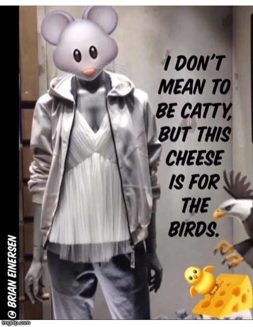 Catty Mouse | image tagged in fashion,window design,brunello cucinelli,cheesey cartoon,catty mouse,brian einersen | made w/ Imgflip meme maker