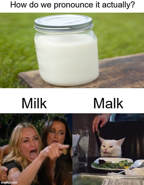 my english teacher say its "malk" |  How do we pronounce it actually? Milk; Malk | image tagged in memes,woman yelling at cat | made w/ Imgflip meme maker