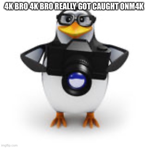 Caught in 4k | 4K BRO 4K BRO REALLY GOT CAUGHT ONM4K | image tagged in caught in 4k | made w/ Imgflip meme maker