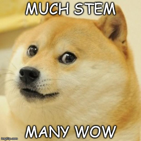 Doge Meme | MUCH STEM MANY WOW | image tagged in memes,doge | made w/ Imgflip meme maker