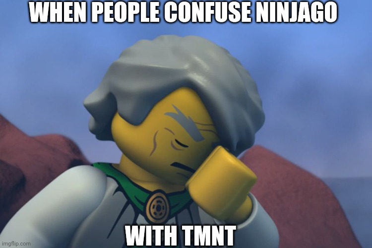 Teenage Mutant NINJAGO Turtles |  WHEN PEOPLE CONFUSE NINJAGO; WITH TMNT | image tagged in lego ninjago sensei garmadon facepalm | made w/ Imgflip meme maker