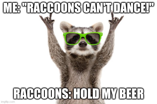 RACCOON |  ME: "RACCOONS CAN'T DANCE!"; RACCOONS: HOLD MY BEER | image tagged in raccoon,bruh,xd | made w/ Imgflip meme maker