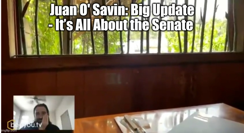 Juan O' Savin: Big Update - It’s All About the Senate  (Video)