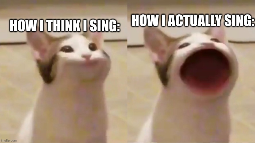 Bruh - 6.0 |  HOW I ACTUALLY SING:; HOW I THINK I SING: | image tagged in funny,cats,lol | made w/ Imgflip meme maker