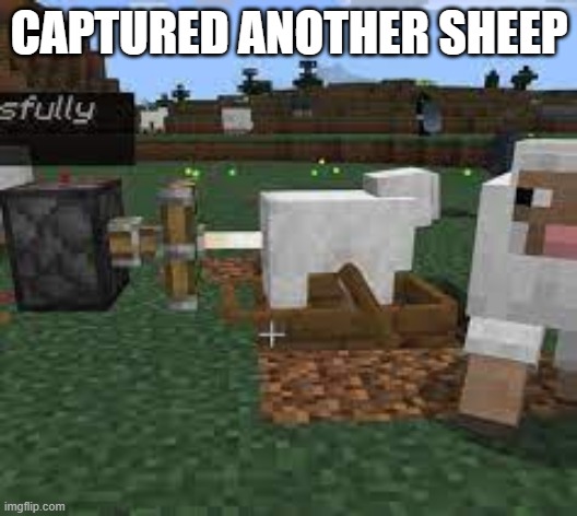 CAPTURED ANOTHER SHEEP | made w/ Imgflip meme maker