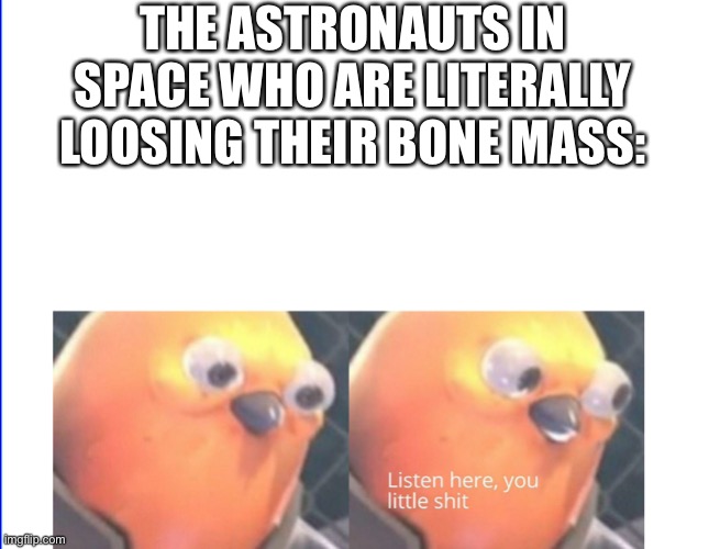 Listen here you little shit | THE ASTRONAUTS IN SPACE WHO ARE LITERALLY LOOSING THEIR BONE MASS: | image tagged in listen here you little shit | made w/ Imgflip meme maker