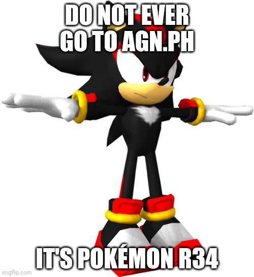 Just don't | DO NOT EVER GO TO AGN.PH; IT'S POKÉMON R34 | image tagged in shadow the hedgehog t pose | made w/ Imgflip meme maker