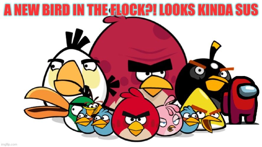 just got this from Rovio today | A NEW BIRD IN THE FLOCK?! LOOKS KINDA SUS | image tagged in varry angry birds,angry birds,among us,meme,sus,funny | made w/ Imgflip meme maker