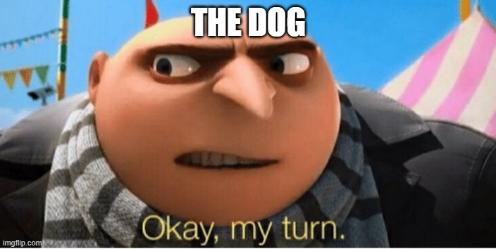 THE DOG | image tagged in okay my turn | made w/ Imgflip meme maker