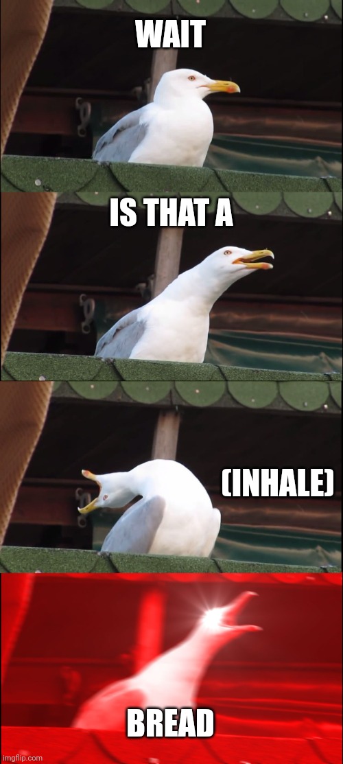 Inhaling Seagull | WAIT; IS THAT A; (INHALE); BREAD | image tagged in memes,inhaling seagull | made w/ Imgflip meme maker