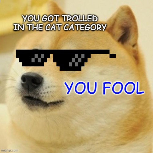 DOG | YOU GOT TROLLED IN THE CAT CATEGORY; YOU FOOL | image tagged in memes,doge | made w/ Imgflip meme maker