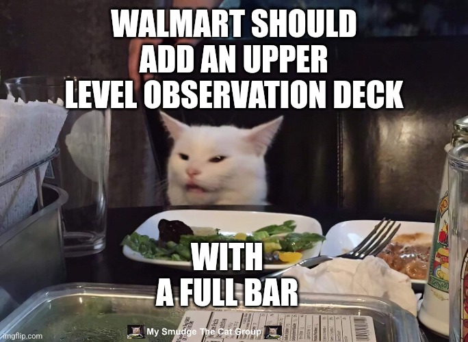 WALMART SHOULD ADD AN UPPER LEVEL OBSERVATION DECK; WITH A FULL BAR | image tagged in smudge the cat | made w/ Imgflip meme maker