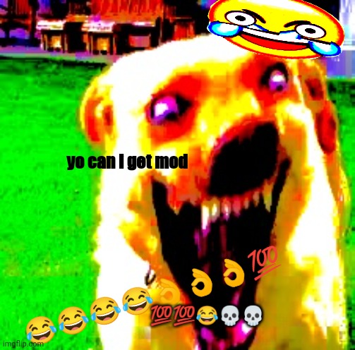 . | yo can i get mod; 😂😂😂😂👌👌👌💯; 💯💯😂💀💀 | image tagged in cursed deepfried dog,can i get mod,memes,oh no cringe | made w/ Imgflip meme maker