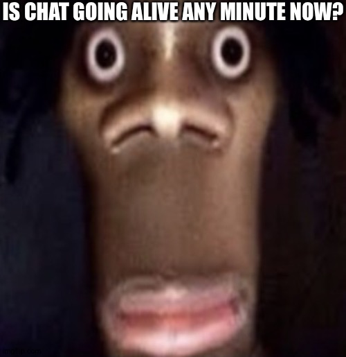 Quandale dingle | IS CHAT GOING ALIVE ANY MINUTE NOW? | image tagged in quandale dingle | made w/ Imgflip meme maker