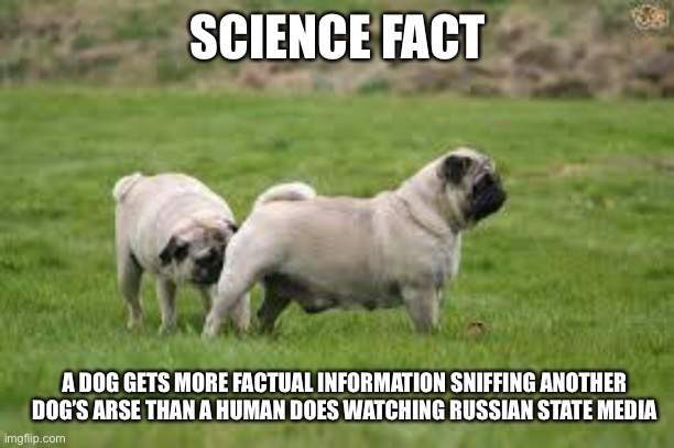 Dog Sniff | SCIENCE FACT; A DOG GETS MORE FACTUAL INFORMATION SNIFFING ANOTHER DOG’S ARSE THAN A HUMAN DOES WATCHING RUSSIAN STATE MEDIA | image tagged in dog sniff | made w/ Imgflip meme maker