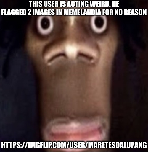 2 year old mf | THIS USER IS ACTING WEIRD. HE FLAGGED 2 IMAGES IN MEMELANDIA FOR NO REASON; HTTPS://IMGFLIP.COM/USER/MARETESDALUPANG | image tagged in quandale dingle | made w/ Imgflip meme maker