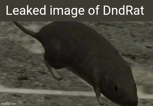 DndRat face reveal | Leaked image of DndRat | image tagged in halo 3 rat | made w/ Imgflip meme maker