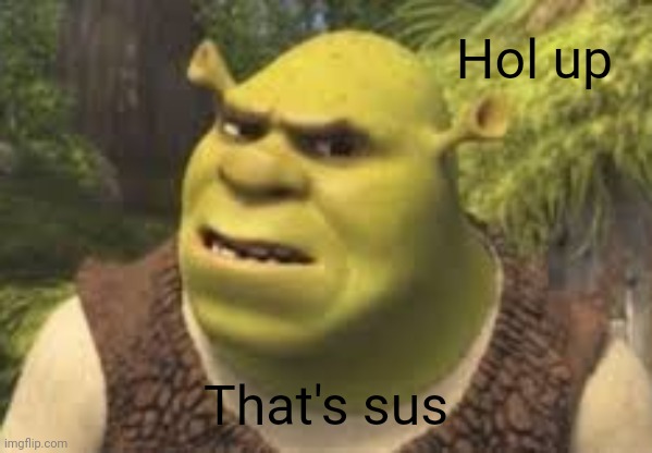 Confused shrek | Hol up That's sus | image tagged in confused shrek | made w/ Imgflip meme maker