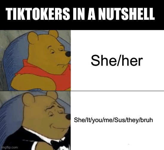 Gen Z |  TIKTOKERS IN A NUTSHELL; She/her; She/It/you/me/Sus/they/bruh | image tagged in memes,tuxedo winnie the pooh | made w/ Imgflip meme maker