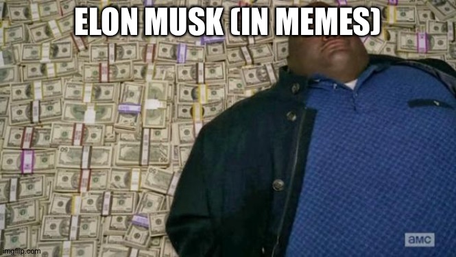 huell money | ELON MUSK (IN MEMES) | image tagged in huell money | made w/ Imgflip meme maker