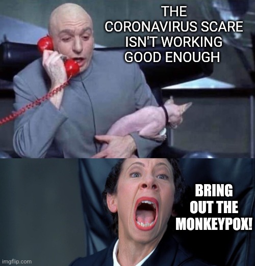 Monkeying around |  THE CORONAVIRUS SCARE ISN'T WORKING GOOD ENOUGH; BRING OUT THE MONKEYPOX! | image tagged in dr evil and frau,monkey,disease,coronavirus,media,scare tactics | made w/ Imgflip meme maker