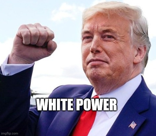 Musk Trump | WHITE POWER | image tagged in musk trump | made w/ Imgflip meme maker