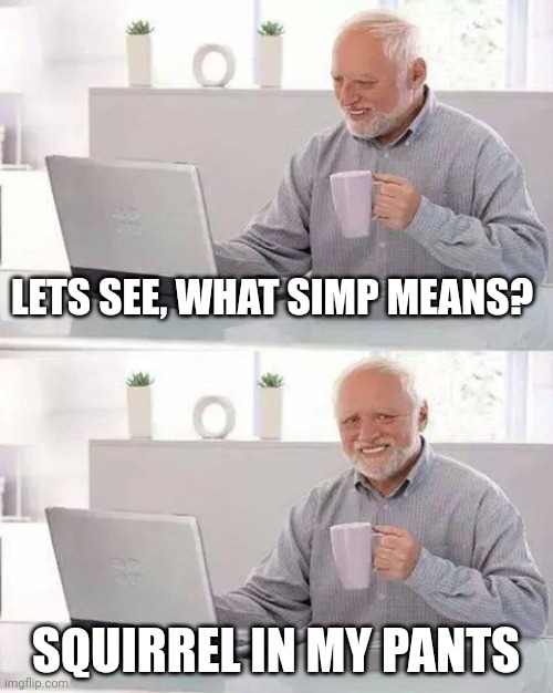 Hide the Pain Harold | LETS SEE, WHAT SIMP MEANS? SQUIRREL IN MY PANTS | image tagged in memes,hide the pain harold | made w/ Imgflip meme maker