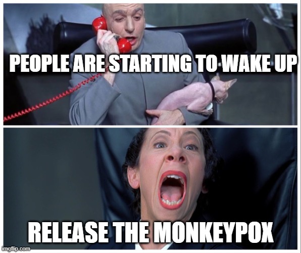 Dr Evil and Frau Yelling |  PEOPLE ARE STARTING TO WAKE UP; RELEASE THE MONKEYPOX | image tagged in dr evil and frau yelling | made w/ Imgflip meme maker