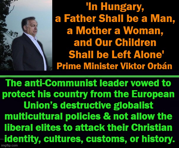 No surprise Viktor Orbán was reelected this week for the FIFTH time to be PM of Hungary. Bravo! | image tagged in politics,hungary,prime minister,family values,traditions,liberals vs conservatives | made w/ Imgflip meme maker